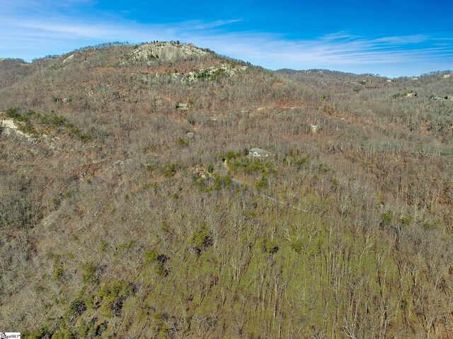 18 Granite Knob Way, Landrum, SC 29356