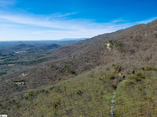 18 Granite Knob Way, Landrum, SC 29356