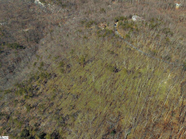 18 Granite Knob Way, Landrum, SC 29356