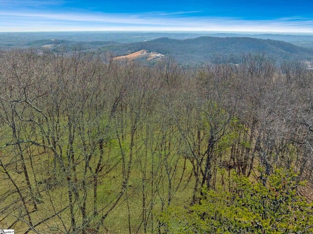 18 Granite Knob Way, Landrum, SC 29356