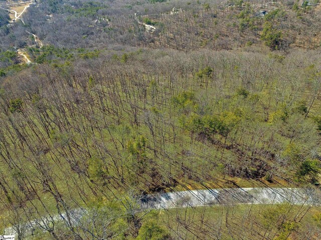 18 Granite Knob Way, Landrum, SC 29356