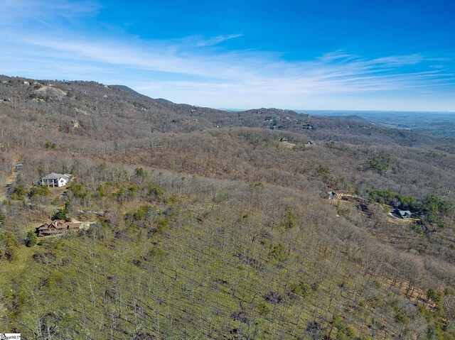 18 Granite Knob Way, Landrum, SC 29356