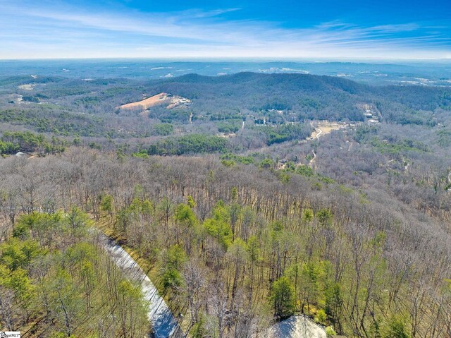 18 Granite Knob Way, Landrum, SC 29356