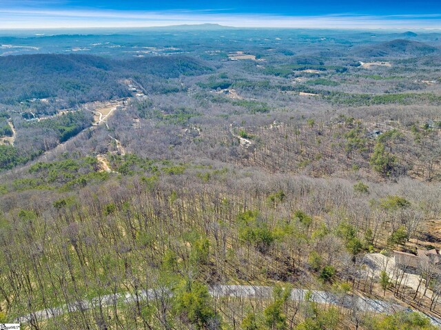 18 Granite Knob Way, Landrum, SC 29356