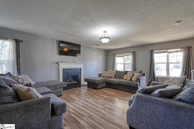 living room with a textured ceiling, wood finished floors, and a glass covered fireplace