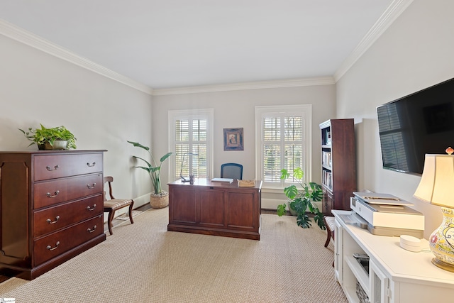 office with baseboards, light colored carpet, and crown molding