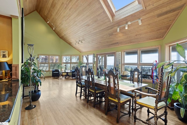 902 Altamont Rd, Greenville, SC 29609 - sunroom featuring a skylight, rail lighting, and plenty of natural light