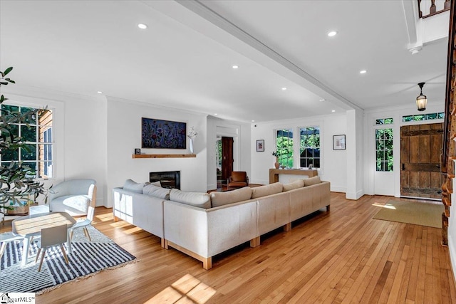living area featuring light wood-style floors, crown molding, and a glass covered fireplace