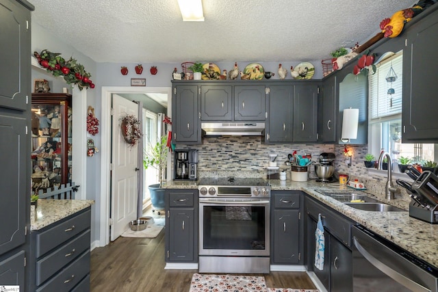 100 Sonora Dr, Easley, SC 29640 - kitchen featuring stainless steel appliances, under cabinet range hood, dark wood-style flooring, and a sink