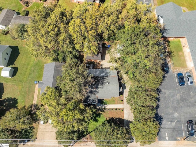 drone / aerial view