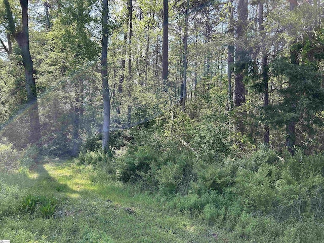00 Woodland Dr, Clinton, SC 29325