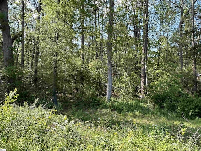00 Woodland Dr, Clinton, SC 29325