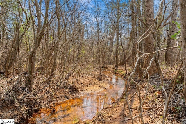 view of local wilderness