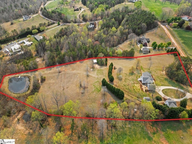 drone / aerial view