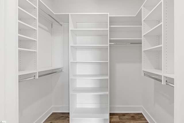 98 E Mcbee Ave Unit 205, Greenville, SC 29601 - walk in closet with dark wood-style floors