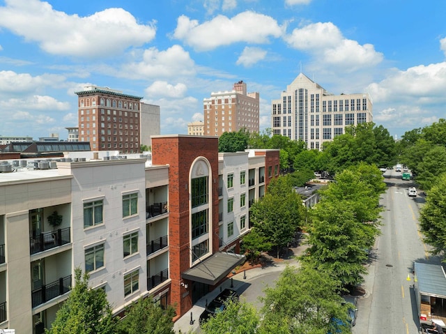 98 E Mcbee Ave Unit 205, Greenville, SC 29601 - view of city
