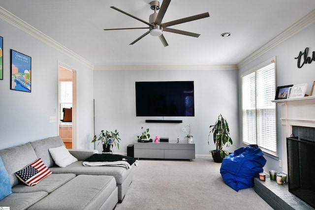 living area featuring baseboards, a fireplace with raised hearth, ornamental molding, ceiling fan, and carpet