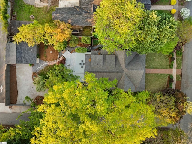 drone / aerial view