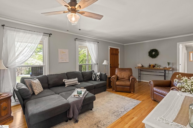 living area with ornamental molding, light wood finished floors, and a ceiling fan