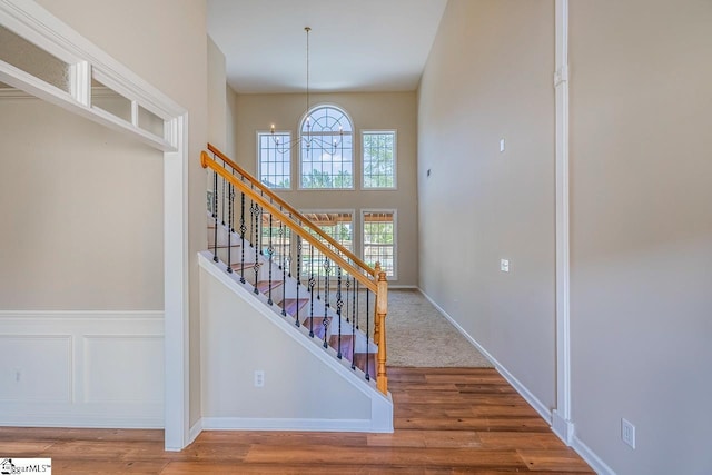 staircase with a decorative wall, a wealth of natural light, a high ceiling, and wood finished floors