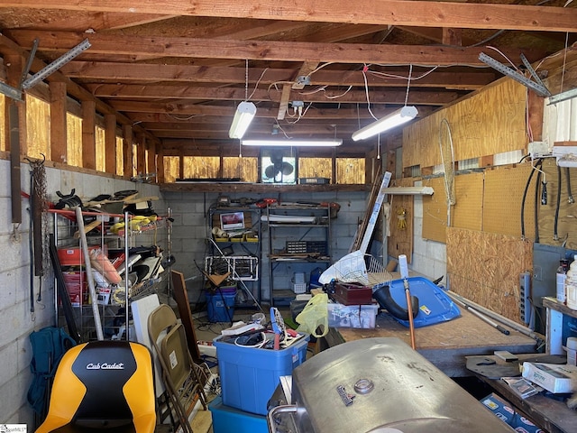storage featuring a garage