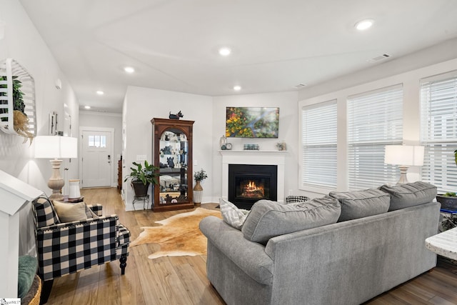 17 Starlake Rd, Simpsonville, SC 29681 - living area with visible vents, light wood-style flooring, recessed lighting, and a glass covered fireplace