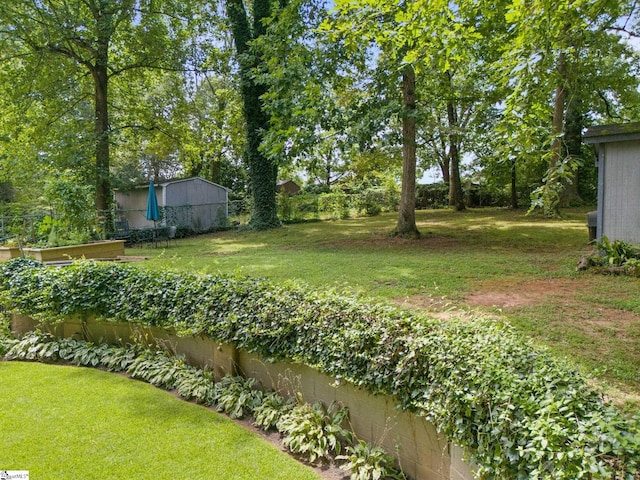 view of yard