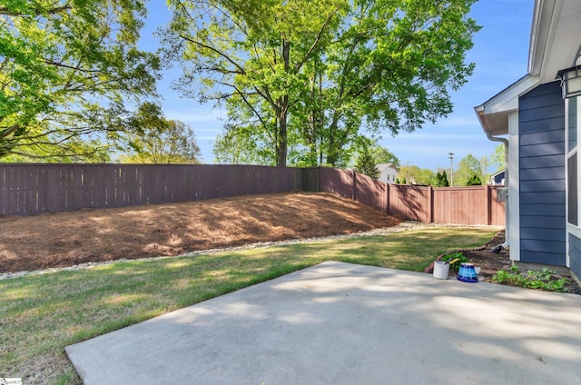 view of yard with a patio and a fenced backyard