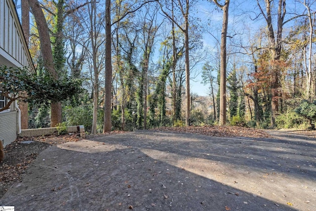 1020 Woodburn Rd, Spartanburg, SC 29302 - view of yard