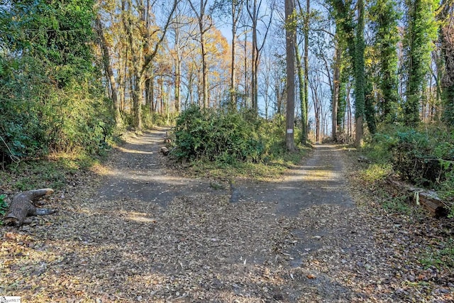 1020 Woodburn Rd, Spartanburg, SC 29302 - view of street
