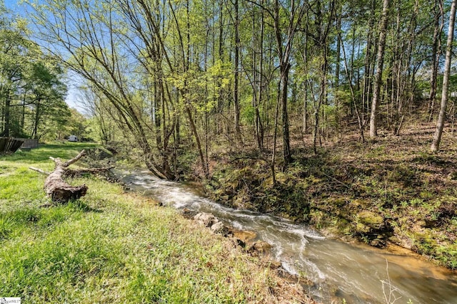 view of local wilderness