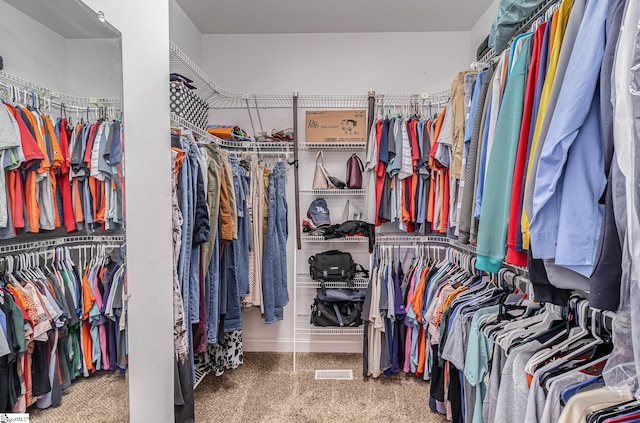 spacious closet with carpet floors