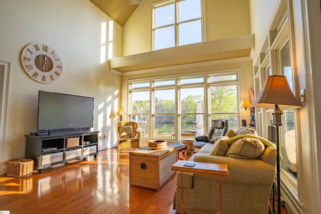 living area featuring wood finished floors and a towering ceiling