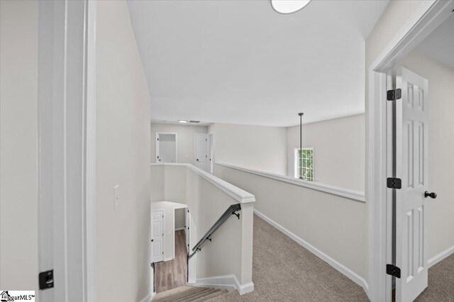 stairs featuring baseboards and carpet