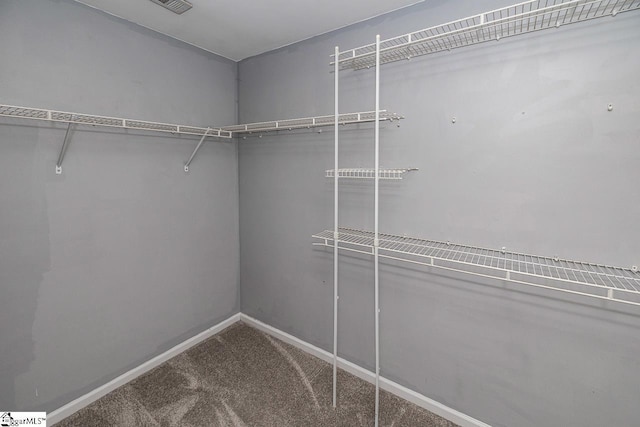 350 Hamilton Pkwy, Easley, SC 29642 - spacious closet featuring carpet flooring