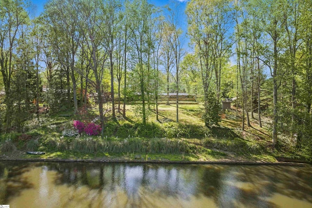 view of water feature