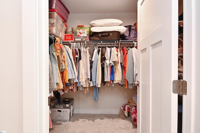 spacious closet with carpet flooring