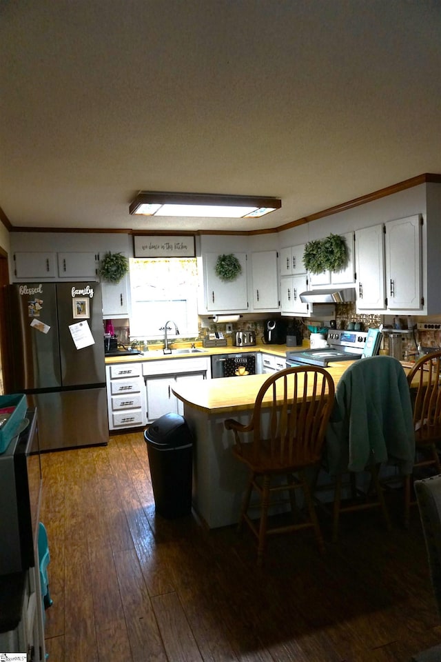 kitchen featuring white cabinets, appliances with stainless steel finishes, dark wood-style flooring, a sink, and under cabinet range hood