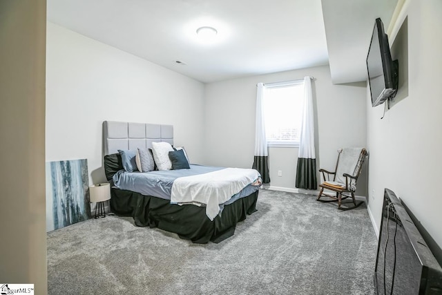 302 Pamela Ln, Laurens, SC 29360 - bedroom with carpet and baseboards