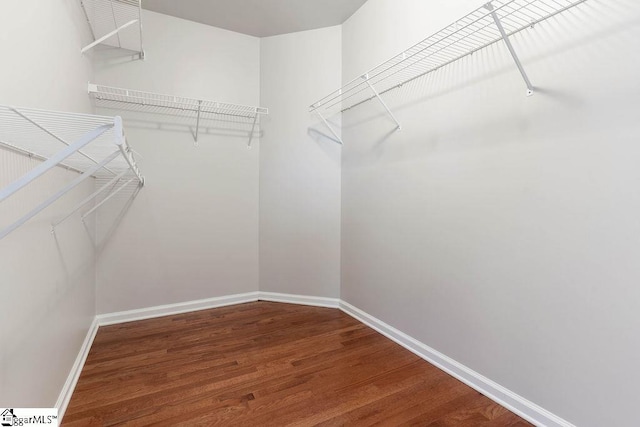 walk in closet with wood finished floors