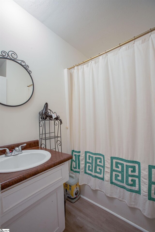 4041 N 101st Hwy, Greer, SC 29651 - full bathroom with wood finished floors, vanity, and shower / tub combo with curtain