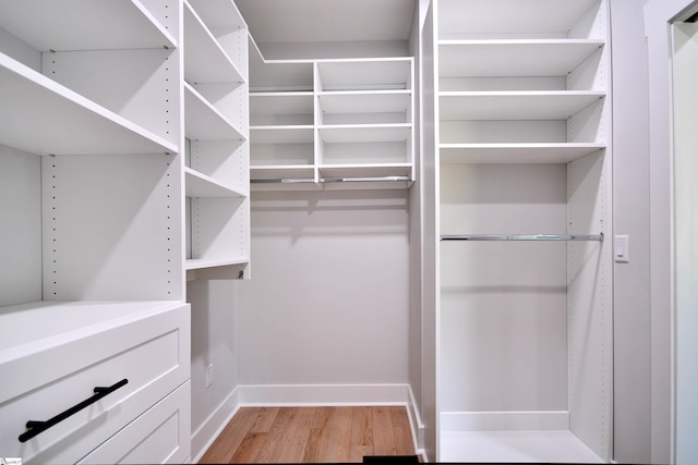 spacious closet featuring light wood finished floors