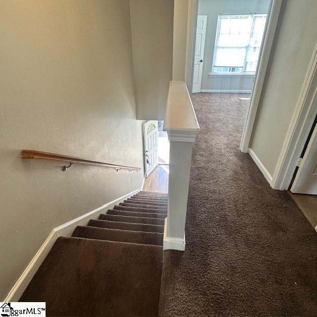 staircase featuring baseboards and carpet