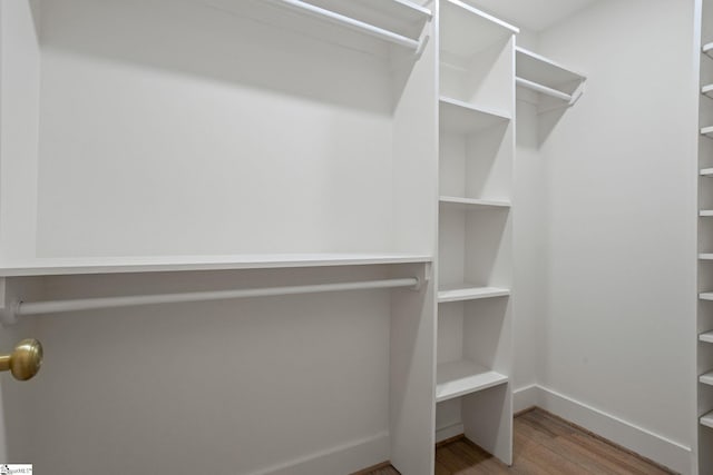 walk in closet featuring wood finished floors