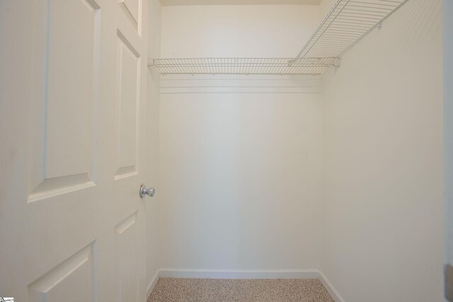 walk in closet with carpet flooring