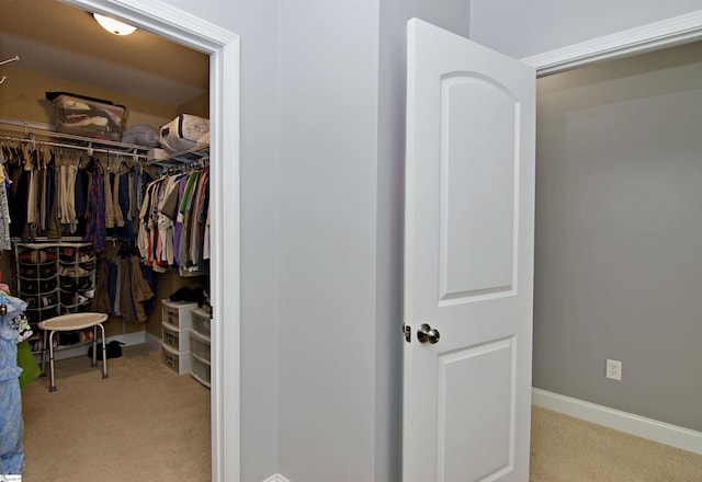 walk in closet featuring carpet floors