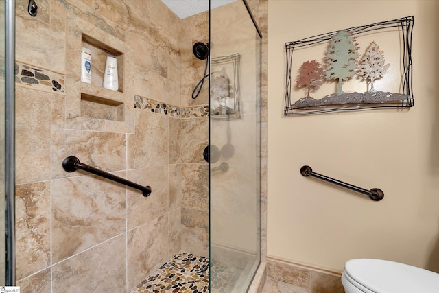 323 Long Reach Dr, Salem, SC 29676 - bathroom with toilet and a shower stall
