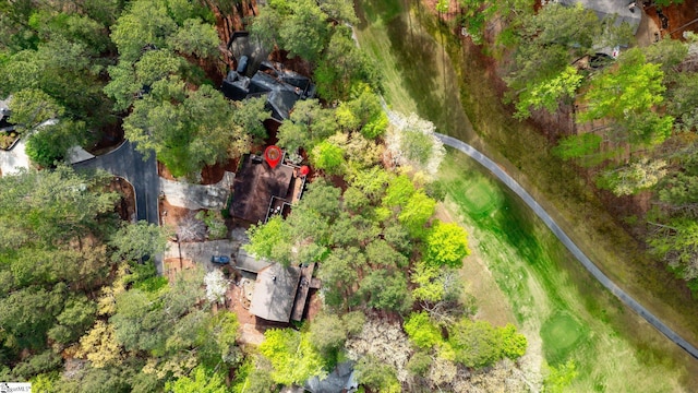 323 Long Reach Dr, Salem, SC 29676 - aerial view