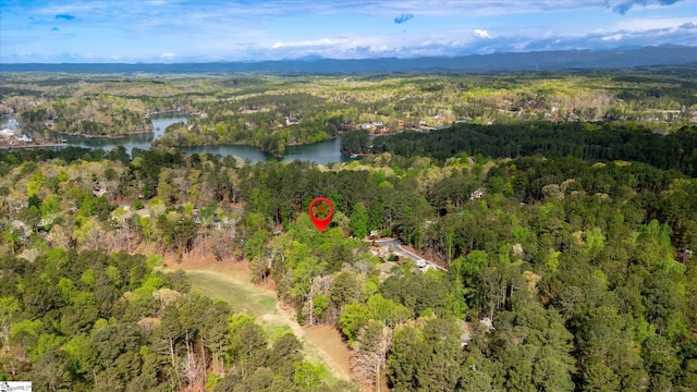 323 Long Reach Dr, Salem, SC 29676 - bird's eye view featuring a wooded view and a water view