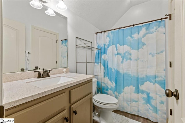 full bath featuring toilet, vanity, vaulted ceiling, and a shower with curtain